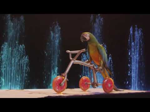 Funny Trained Parrot Riding Bike And Singing/BBC Earth/Trained Parrot