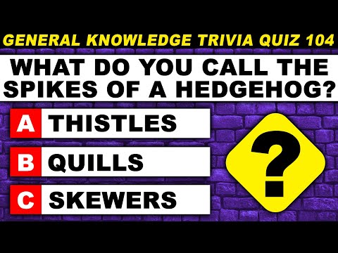 Are You Well Educated? Ultimate General Knowledge Trivia Quiz - Episode 104