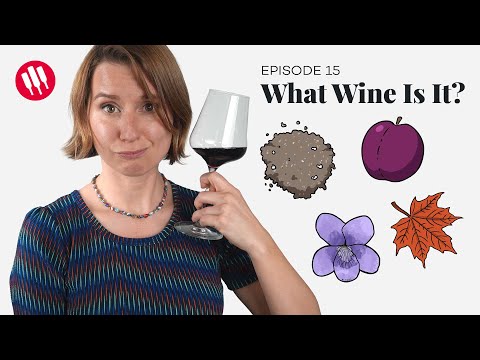 Learn by Tasting (ep. 15) Wine Folly