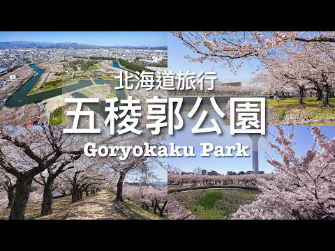 【北海道旅行】函館 - 五稜郭公園櫻花絕景🌸「櫻吹雪」// Goryokaku Park Cherry Blossom - 五稜郭の桜