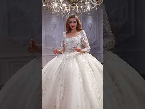 2024 Ball gown lace wedding dress Amanda Novias