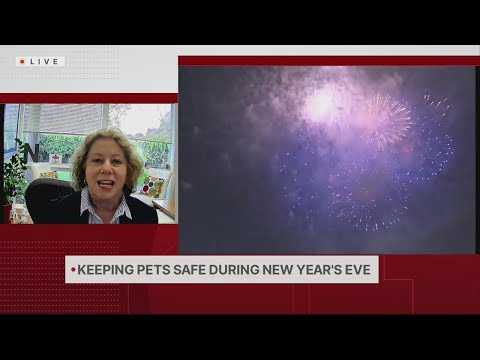 Keeping pets safe during New Year's Eve