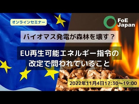 バイオマス発電が森林を壊す？－EU再生可能エネルギー指令の改定（REDIII）で問われていること（2022年11月4日）