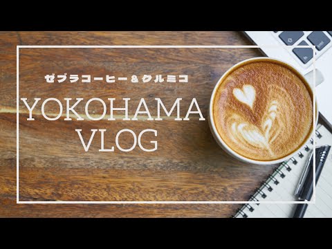 【みなとみらい】ひとりでゆっくりできるおすすめカフェ｜横浜ぶらり｜cafe vlog｜マリンウォーク横浜｜ハンバーガーショップ