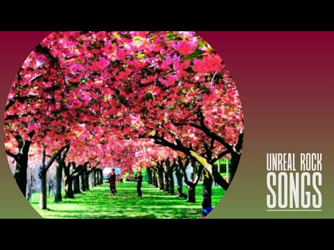 SPRING IN NEW YORK | Captivating 70s Original Acoustic Rock