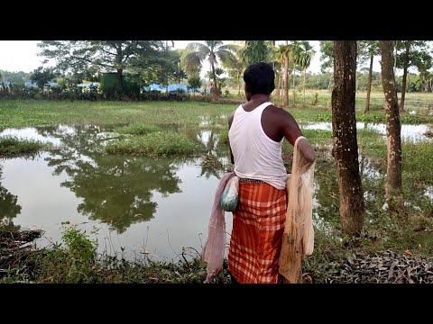 Village net fishing | fishing video | fishermen catch fish