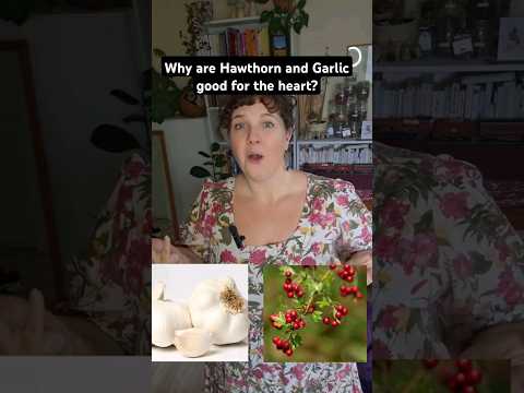 Why are Hawthorn and Garlic good for the heart?