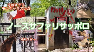 危険すぎる動物園【ノースサファリサッポロ】デンジャラスの森編　#札幌観光#ヤマアラシ