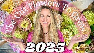 2025 Cut Flower Seed Haul | What the Growing Season Is Going To Look Like