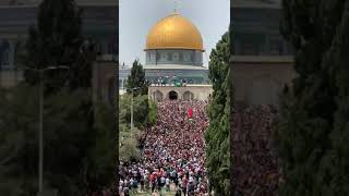 Cheers to victory, pride and glory from Al-Aqsa Masjid