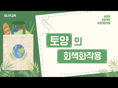 [ 나무의사 ] 토양의 회색화작용 발생 이유 / 참나무교육