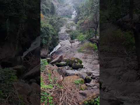 KOVAI KUTRALAM #waterfall #viral #kovai