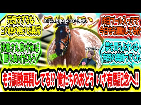 『もう調教再開してる!?俺たちのドウデュースいざ有馬記念へ‼』に対するみんなの反応【競馬の反応集】