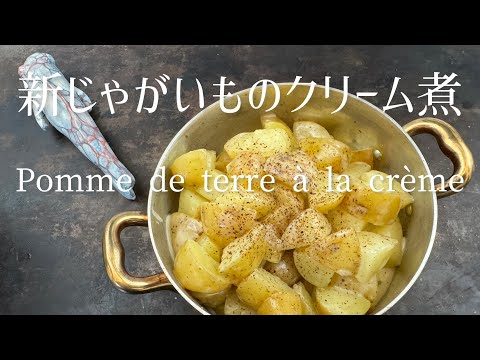 Pomme de terre à la crème/Creamed potato/新じゃがいものクリーム煮