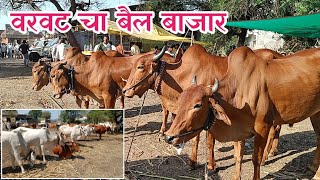 वरवट चा प्रसिद्ध बैल बाजार | #बैलबाजार 🐂 | #bailbajar