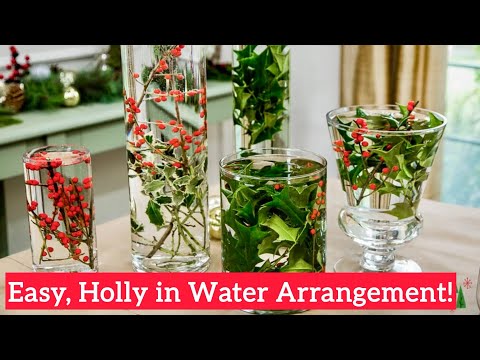 🎄Fast & Easy Holly Plant in Water Arrangement for Christmas! 😀 Shirley Bovshow