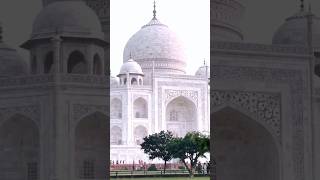 Amezing facts about Taj Mahal in hindi #shots #ytshorts #Facts