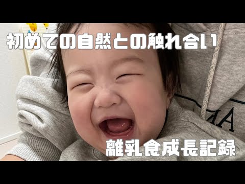 【生後5ヶ月】離乳食成長記録/自然との触れ合い