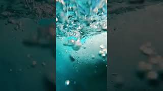 4k under the water #adventure #nature #earthday #discovernature