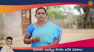 Women Welfare Schemes in Andhra Pradesh | Nellore District