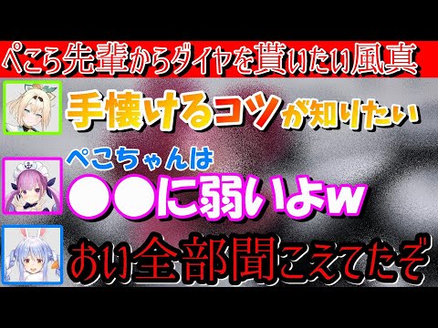 こっそりぺこちゃんを手懐けるコツを教えるあくたんと神タイミングで通りかかる兎田ぺこらｗｗ