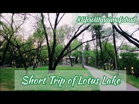 Lotus Lake || Shakarparian || Kanwal Jheel Vlog ❤️