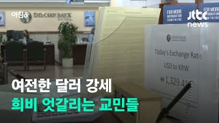 학비 부담 커졌지만…'달러 강세'에 희비 엇갈리는 교민들 / JTBC 아침&