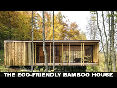 The Bamboo House: A Living Sanctuary Where Nature and Architecture Unite