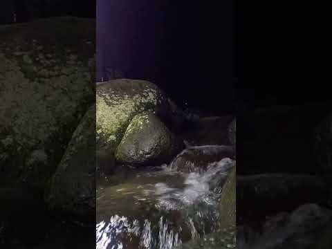 The beautiful flow of river water at night #river #riversounds #riversoundsrelaxing #soothingsound