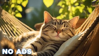 12 Hours Sleep Music for Cats 🐈 Calming Music for Cats No Ads ♬ Sleep Music for Anxious Cats