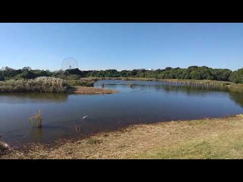 東京都葛西臨海公園 鳥類園 上の池 2023.10