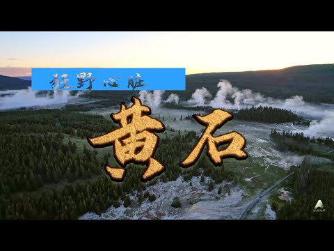 狂野心脏：黄石 (The Wild Heart: Yellowstone National Park)