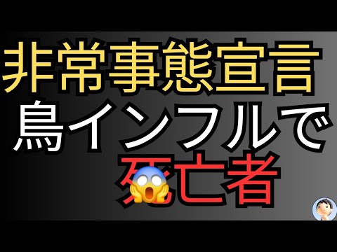 感染で死亡者😱😱😱鳥インフルエンザ