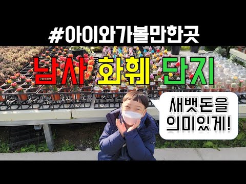 [4K] 남사화훼단지 | 아이와가볼만한곳 | 새뱃돈을 의미있게 | 예쁜 꽃과 식물들이 가득한곳