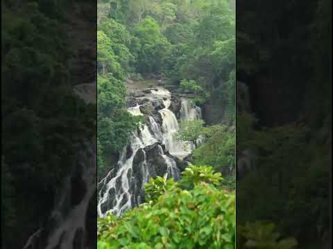 Moyar waterfall , View from Mudumalai National park,Tamil Nadu moyarwaterfalls #rathikaramasamy