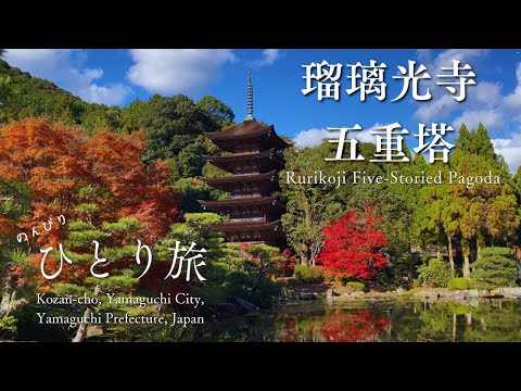 [Autumn Scenery] Enjoying the Autumn Leaves of Rurikoji Temple Five-Story Pagoda on a Solo Trip