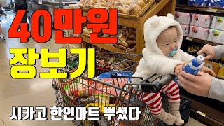 마트장보기 vlog 🇺🇸 미국 한인마트 장보기 뿌시기 ‼️ 미국 주부브이로그 / 역대급 미국물가 / 시카고여행