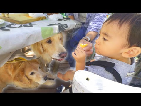 絶対に食べたい愛犬vs絶対にあげたくない息子のやり取りが微笑ましいww