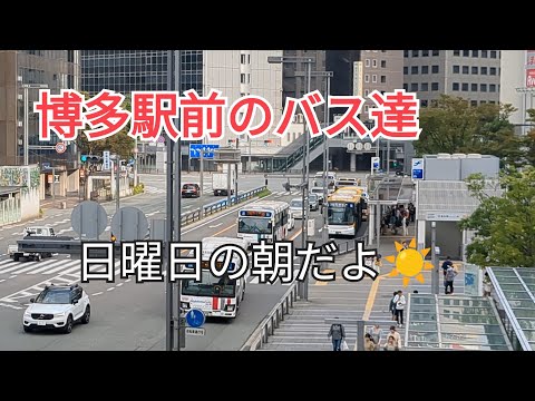 [Sunday morning☀] Buses in front of Hakata Station "Seen from above" ④-4 Final episode🤗