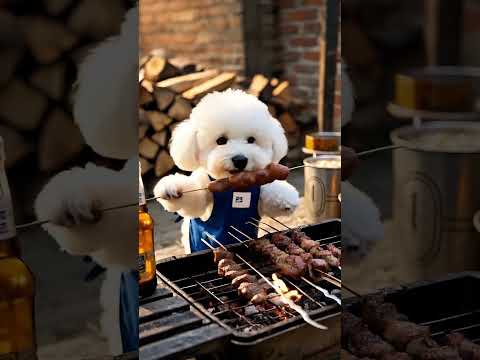 【Healing dog】A dog chef makes Burgers and Fries. #cutedog #cooking #doglover #babydogs