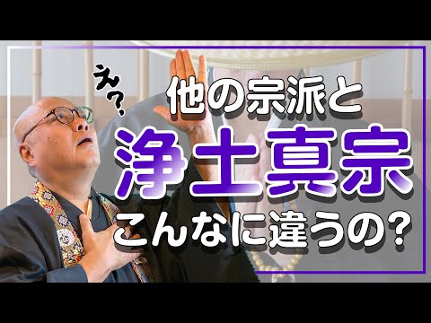 実はこんなにも違う！浄土真宗と他の宗派の違い