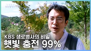 KBS 생로병사의 비밀 : 햇빛 충전 99% (2014년 10월 29일 방영) - 햇빛 충전 해 보셨나요?