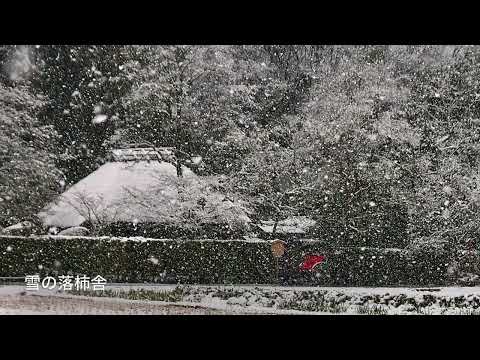 京都をウロウロ❣️      右京区の雪景色