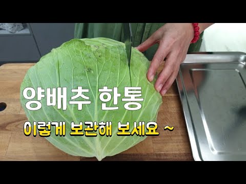 양배추 보관 꿀팁 ] 양배추 한통 이렇게 보관하면 버리는거 하나도 없어요!