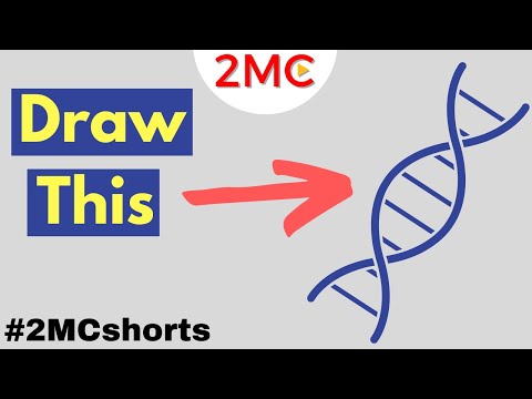 How to draw a DNA Strand in 3 Easy Steps | #shorts