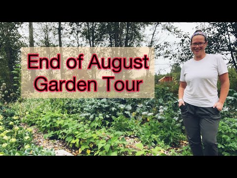 End of August Garden Tour | PNW Zone 8b