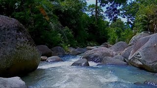 Soothing River Flow Relaxation: Live Sleep Stream for Deep Calm, Peace, and Tranquility