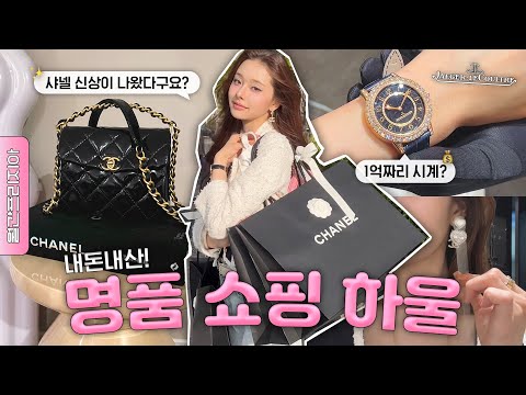 Spending 100M won in one day challenge?💸 Can't say no to a new bag.. [The Freezia EP.36]