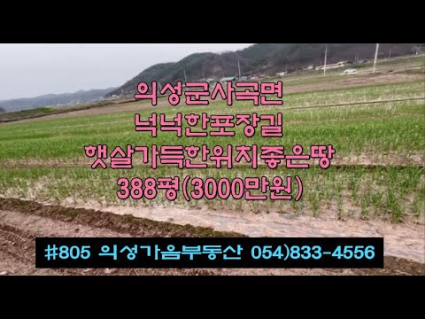 #805 의성가음부동산 산밑 마을근처 확트인 풍경좋고 모양반듯한 벼논 388평 3000만 (당7.7만원) 경지정리된 밭사용추천 전기가능 상수도가능 위치좋은 주말농장용 #의성땅