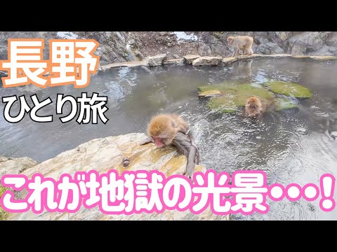 世界唯一！長野の山奥にある徒歩でしか行けない地獄で見れるもの！男ひとり旅VLOG（地獄谷野猿公苑、スノーモンキーパーク）